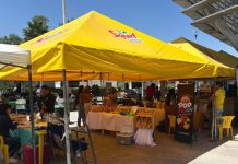 Arranca tercera edición del Fungi Fest Morelia con enfoque en gastronomía, medicina y uso consciente
