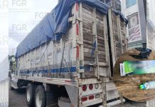Investiga FGR ingreso ilegal de 11 mil cajetillas de cigarros en Uruapan