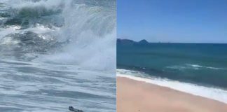 #VIDEO // Un visitante inesperado obliga a cerrar parte de una playa en Mazatlán