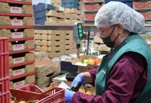 Michoacán y China fortalecen alianza comercial; agroindustria, tecnología y logística amplían oportunidades