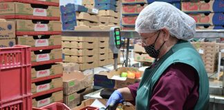 Michoacán y China fortalecen alianza comercial; agroindustria, tecnología y logística amplían oportunidades