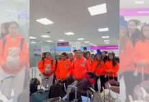 #VIDEO // Equipaje bajo sospecha: viajeros señalan presuntas irregularidades tras volar con Volaris