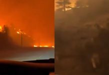 #VIDEO //Canadá enfrenta evacuaciones masivas por avance de incendios forestales