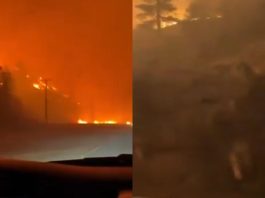 #VIDEO //Canadá enfrenta evacuaciones masivas por avance de incendios forestales