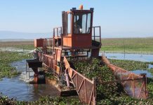 Intensifican trabajos de recuperación en el lago de Cuitzeo con maquinaria especializada