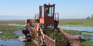 Intensifican trabajos de recuperación en el lago de Cuitzeo con maquinaria especializada