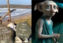Fans de Harry Potter cambian el rumbo de una obra para cuidar el recuerdo de Dobby