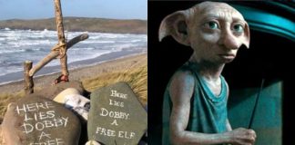 Fans de Harry Potter cambian el rumbo de una obra para cuidar el recuerdo de Dobby