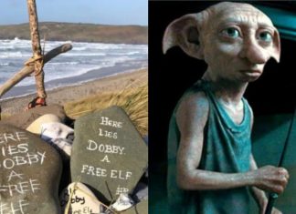 Fans de Harry Potter cambian el rumbo de una obra para cuidar el recuerdo de Dobby