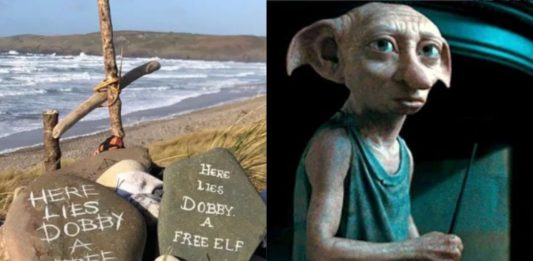 Fans de Harry Potter cambian el rumbo de una obra para cuidar el recuerdo de Dobby