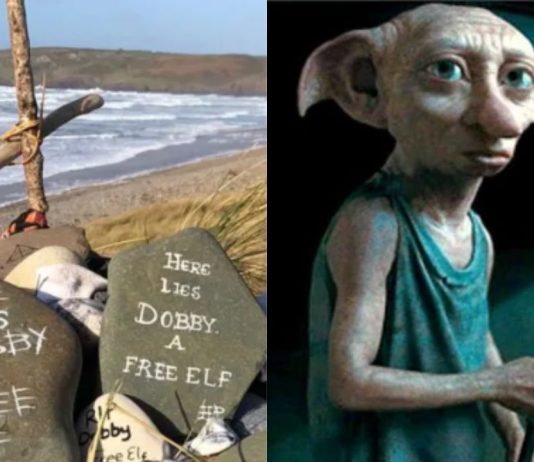 Fans de Harry Potter cambian el rumbo de una obra para cuidar el recuerdo de Dobby
