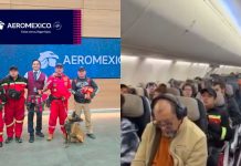 #VIDEO // Aeroméxico facilita traslado de brigada K-9 mexicana a Colombia