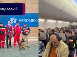 #VIDEO // Aeroméxico facilita traslado de brigada K-9 mexicana a Colombia