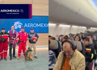 #VIDEO // Aeroméxico facilita traslado de brigada K-9 mexicana a Colombia