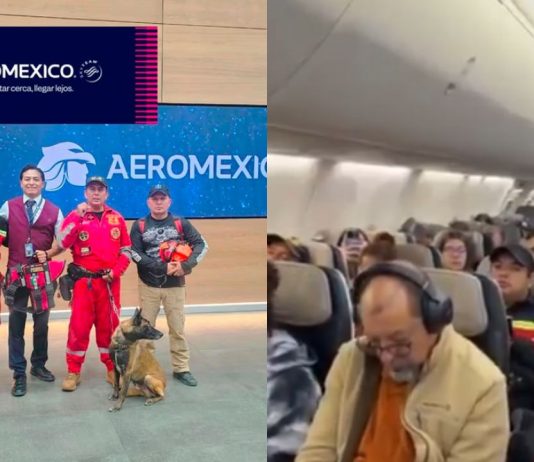 #VIDEO // Aeroméxico facilita traslado de brigada K-9 mexicana a Colombia