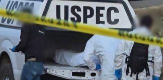 Localizan torso humano abandonado en El Zapote, Zinapécuaro