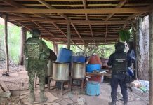 Fuerzas estatales y federales desmantelan laboratorio de drogas sintéticas en Lázaro Cárdenas