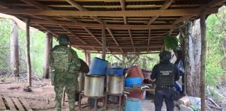 Fuerzas estatales y federales desmantelan laboratorio de drogas sintéticas en Lázaro Cárdenas