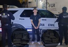 Guardianes del Camino aseguran más de 20 kg de marihuana en Lázaro Cárdenas