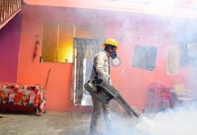 Michoacán reduce en 84% los casos de dengue con labor del personal de vectores
