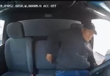#VIDEO // Violencia en la México-Puebla: chofer enfrenta ataque durante intento de asalto