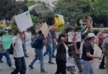 Activistas marcharon, van por vía legal con amparo ante derribo de árboles