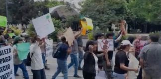 Activistas marcharon, van por vía legal con amparo ante derribo de árboles