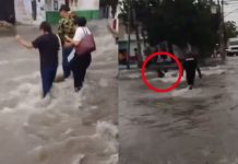 #VIDEO // Corriente arrastra a dos mujeres durante fuerte lluvia en Guadalajara