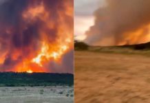 #VIDEO // Texas enfrenta un incendio voraz: miles de hectáreas consumidas y familias evacuadas