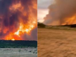 #VIDEO // Texas enfrenta un incendio voraz: miles de hectáreas consumidas y familias evacuadas