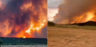 #VIDEO // Texas enfrenta un incendio voraz: miles de hectáreas consumidas y familias evacuadas