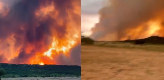 #VIDEO // Texas enfrenta un incendio voraz: miles de hectáreas consumidas y familias evacuadas