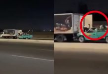 #VIDEO // ¡Asalto sobre ruedas! Captan a ladrones abordando un camión en movimiento en Egipto