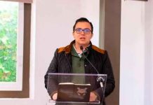 Alertan animalistas michoacanos por propuesta federal que pondría en riesgo avances en protección animal