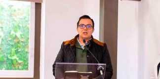 Alertan animalistas michoacanos por propuesta federal que pondría en riesgo avances en protección animal