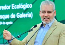 Arbolado de Tres Puentes se conserva; solo 27 ejemplares serán trasplantados: Bedolla
