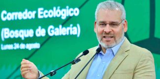Arbolado de Tres Puentes se conserva; solo 27 ejemplares serán trasplantados: Bedolla