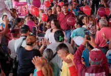 Asambleas informativas consolidan la fuerza de Morena en Michoacán: Gladyz Butanda