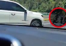 #VIDEO // Jornada fatal en la México-Cuernavaca: dos motociclistas pierden la vida en La Pera