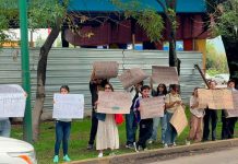 Ciudadanos se manifiestan para exigir no más tala de árboles por Morebús