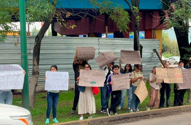 Ciudadanos se manifiestan para exigir no más tala de árboles por Morebús