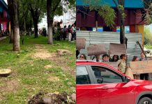 Ciudadanos se manifiestan para exigir al Gobierno Estatal no se talen árboles por Morebús