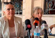 Colectivo animalista responsabiliza al municipio por tala en Tres Puentes para obra del Morebús