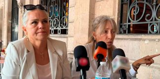 Colectivo animalista responsabiliza al municipio por tala en Tres Puentes para obra del Morebús