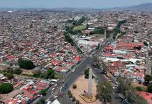 Compensarán retiro de 613 árboles por Morebús con más de 12 mil ejemplares en Morelia