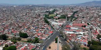 Compensarán retiro de 613 árboles por Morebús con más de 12 mil ejemplares en Morelia