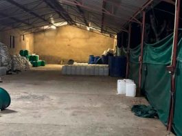 Detienen a dos mexicanos tras operativo en laboratorio clandestino de metanfetaminas en Musina, Sudáfrica