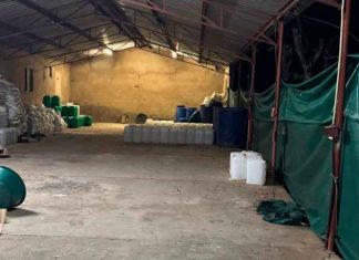 Detienen a dos mexicanos tras operativo en laboratorio clandestino de metanfetaminas en Musina, Sudáfrica