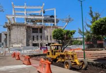 Más de 20 mil árboles transformarán Morelia junto con el Morebús: Sedum