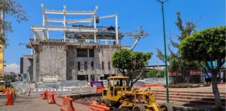 Más de 20 mil árboles transformarán Morelia junto con el Morebús: Sedum